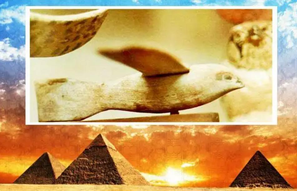 盘点20个细思极恐的科学事实,真相大白揭秘32个伪科学事实