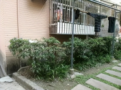 保定能在这些小区的朋友基本不缺钱