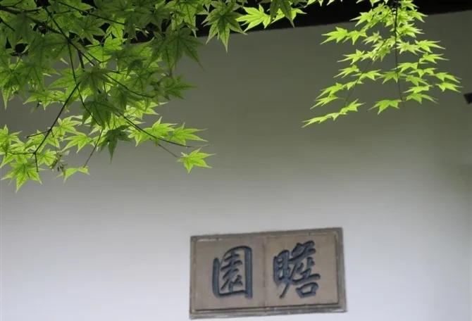 在南京旅游必须知道的90个常识,南京旅游最全攻略超实用