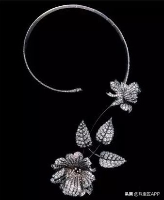 宝诗龙问号项链周冬雨,宝诗龙孔雀问号项链