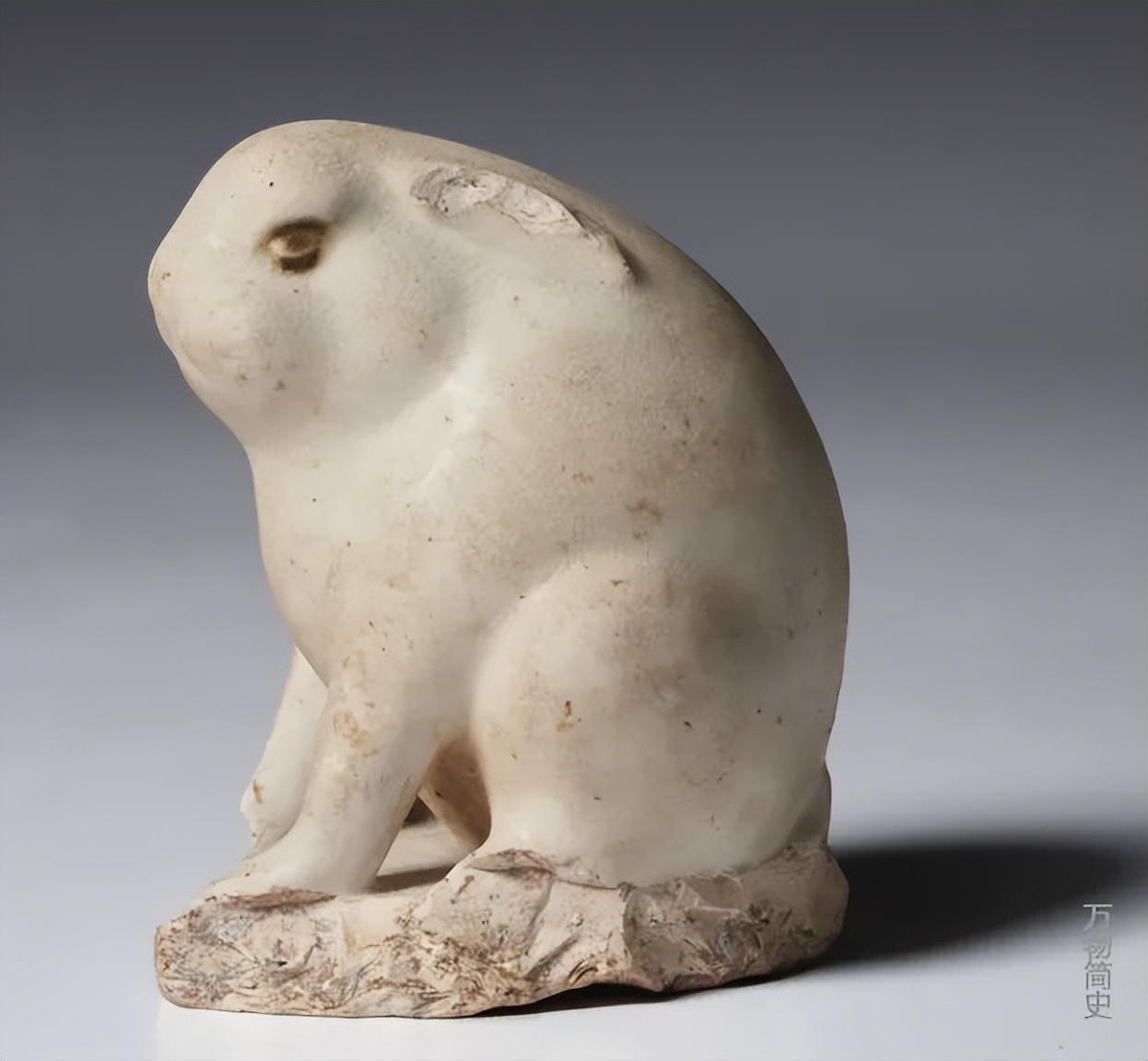 那年那兔那些年的故事,那年那兔那些事儿百年风云