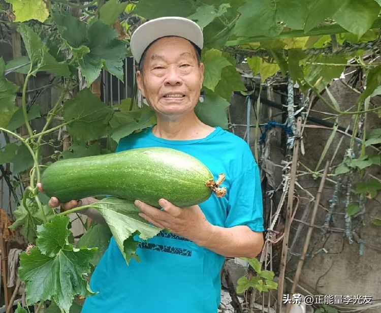 天下“老玩童”丨家庭菜园丰收乐