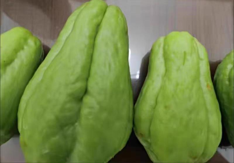 果实怎么炖汤好喝,果子叶怎么煮好吃窍门