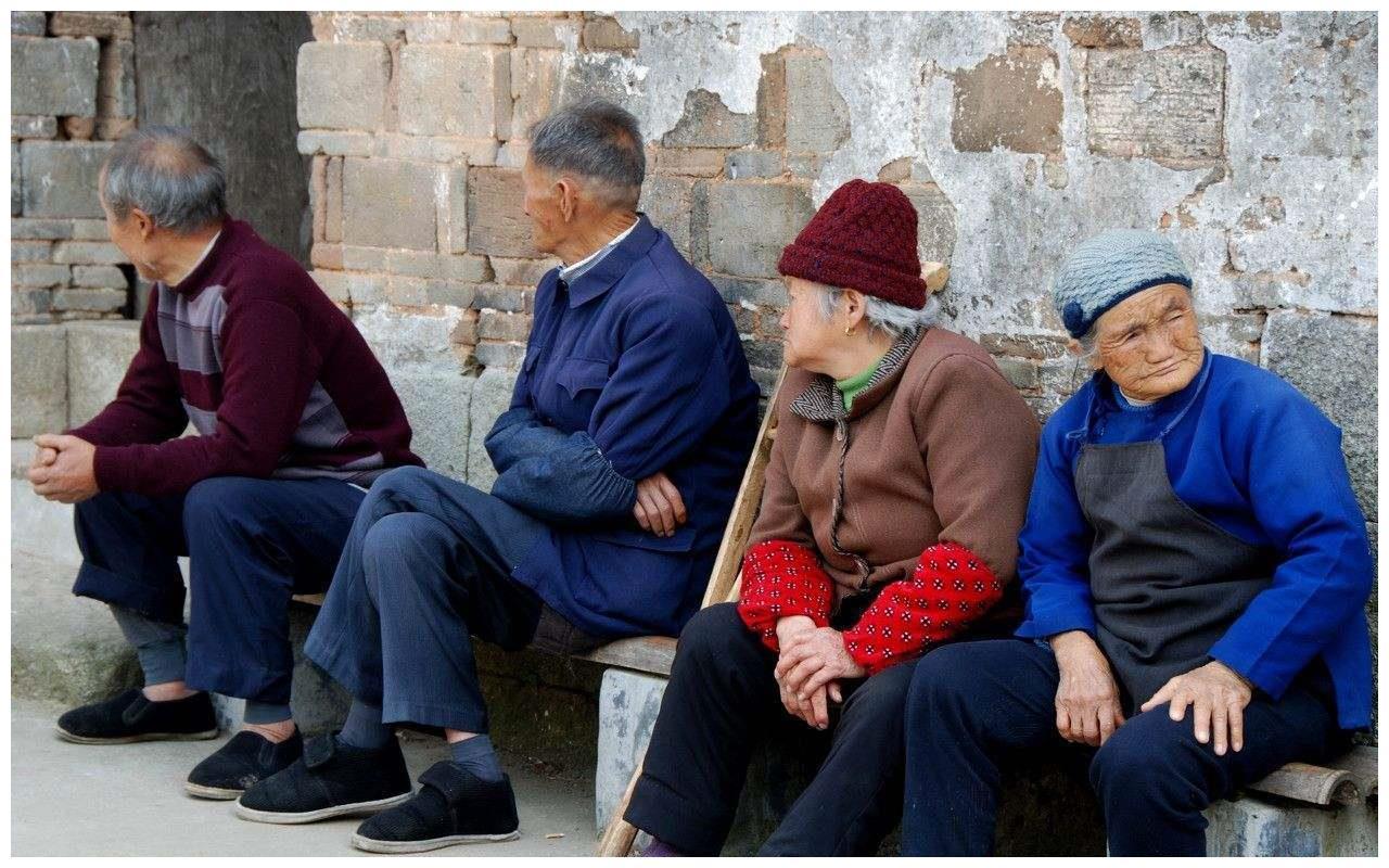 广东老太太捡了一只猫,广东老太上山捡了只小猫