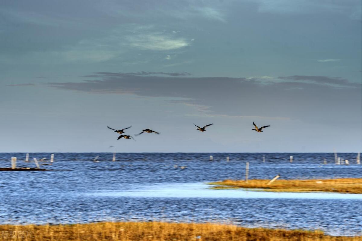 青海湖旅游攻略8月份茶卡盐湖,青海湖茶卡盐湖自驾游全攻略