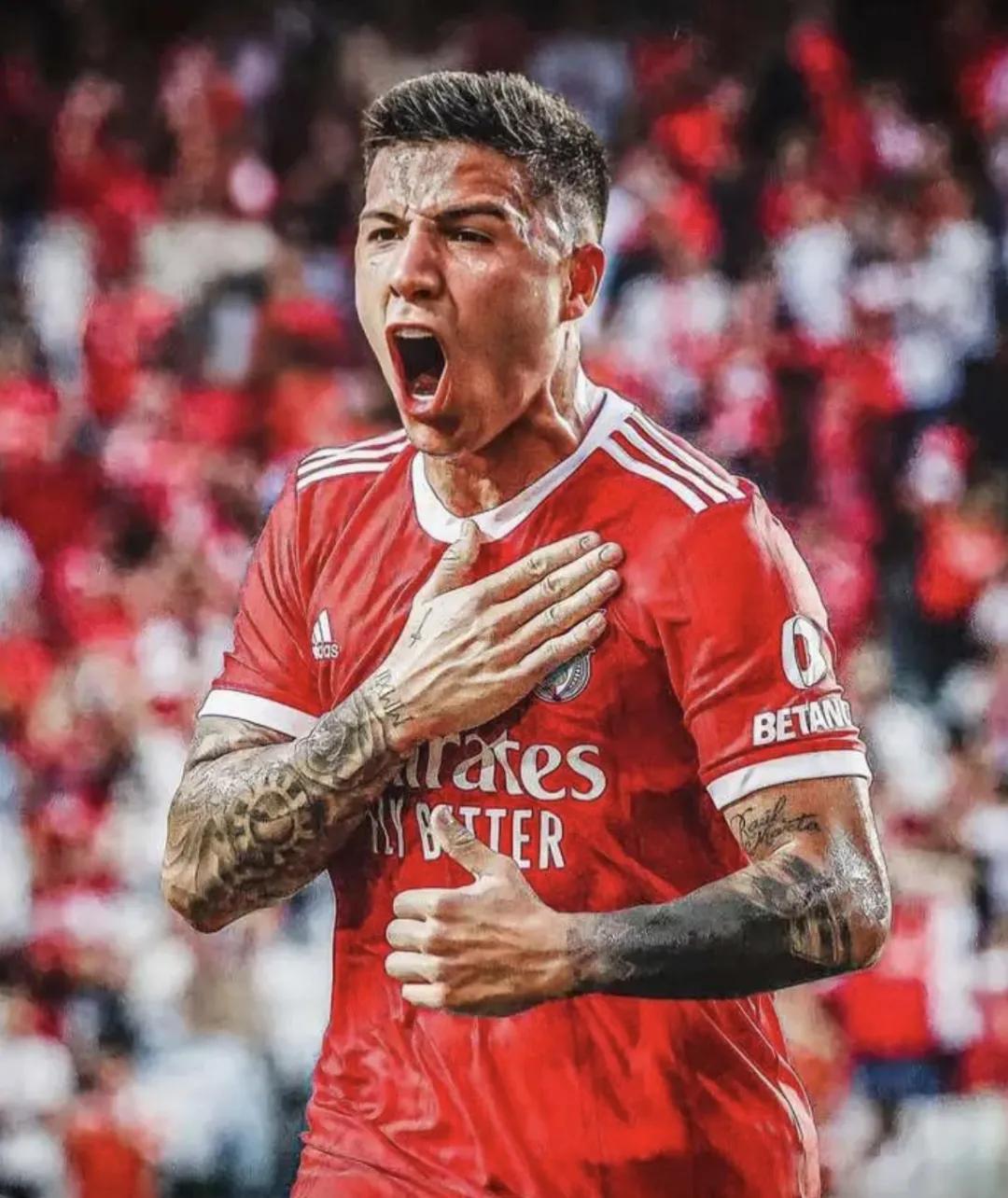 阿根廷夺冠的中场核心恩佐,阿根廷夺冠之路恩佐