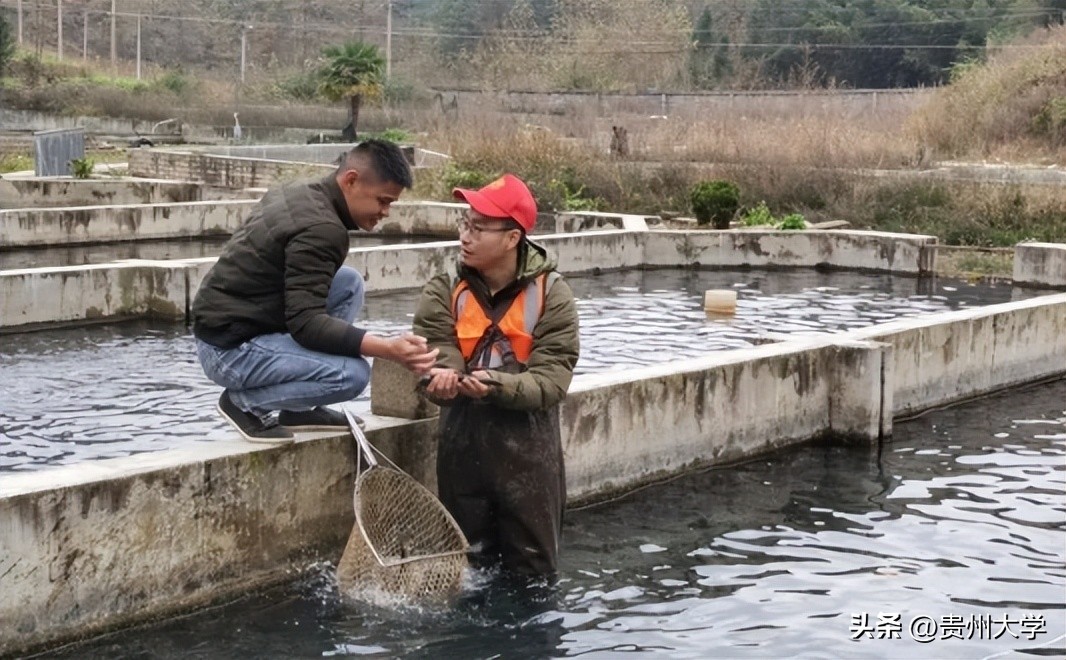 璐靛ぇ瀛﹂櫌,璐靛ぇ鏈鍗囧