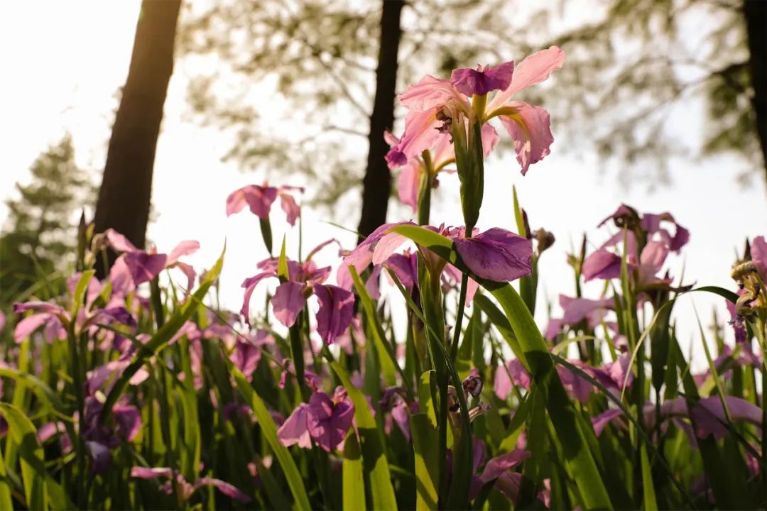 五一的常州,常州的五一