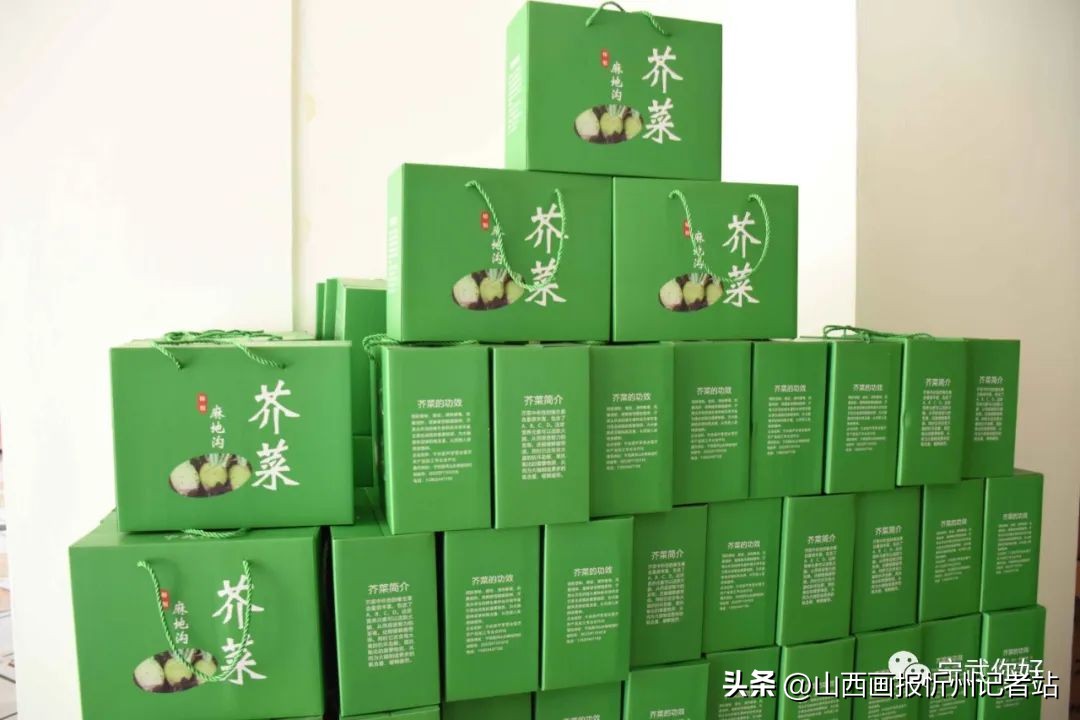 比担当晒亮点|宁武县涔山乡壮大村集体经济项目情况简介