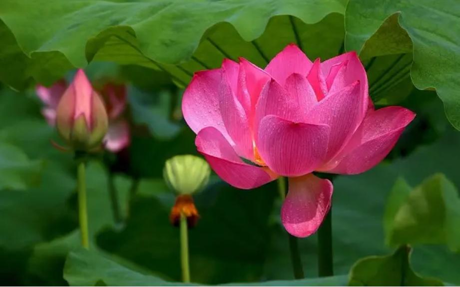 收到亲戚礼物如何拒绝他,亲戚之间千万不要做这三件