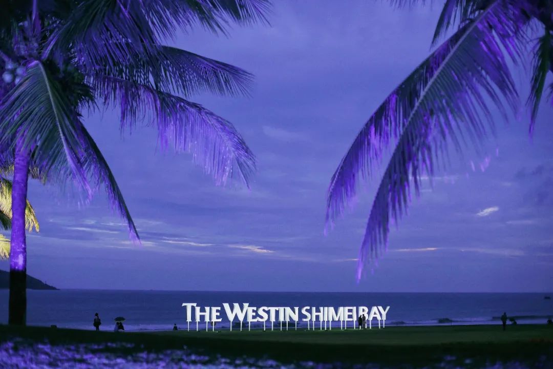 1年有150天住酒店,44次旅行,47次飞行!这江南女子怎么做到的?