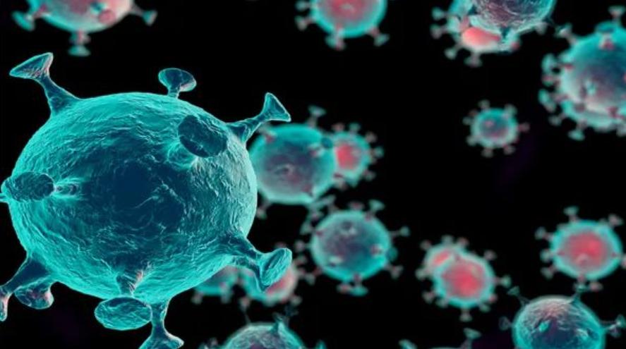 新冠特效药印度版多少元一盒,新冠印度进口特效药多少钱