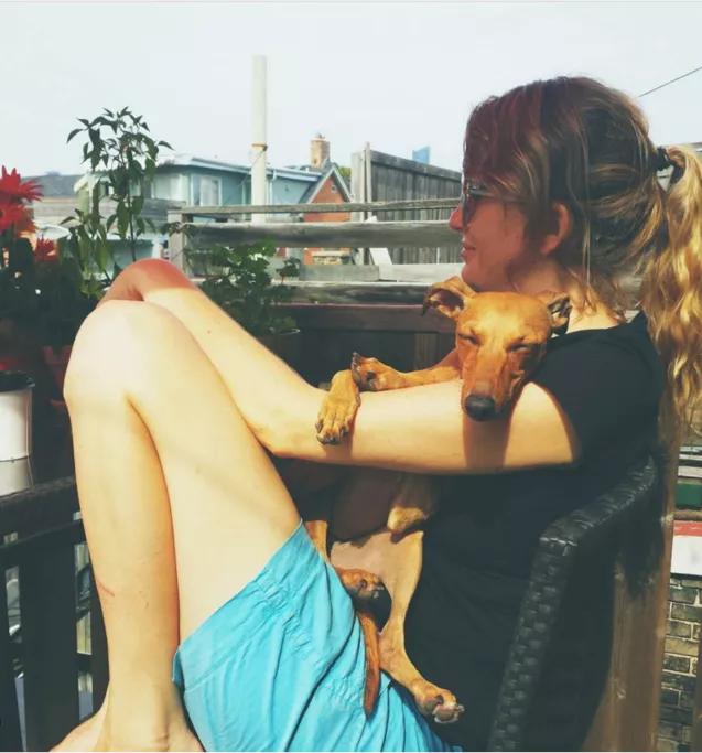 一只流浪狗被收留后成功的逆袭了,一只被遗弃狗狗的逆袭之路