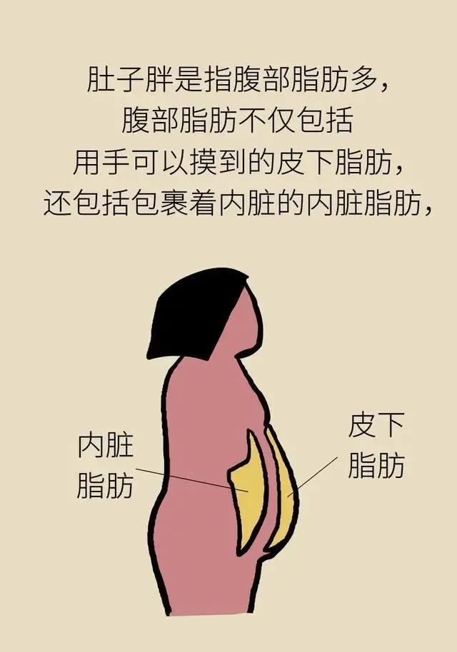 老人减肚子最快又营养的方法,教你快速减肚子的最有效方法