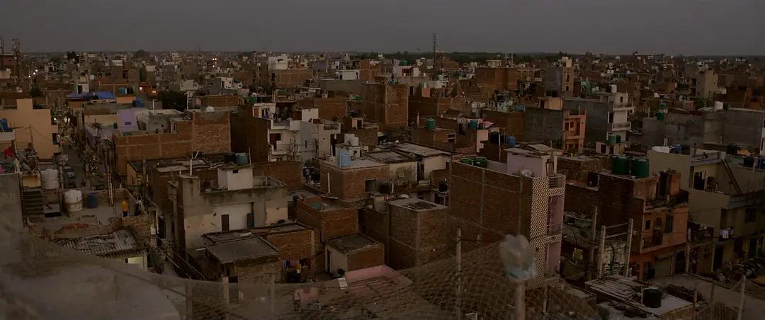 深度解析教育本质,引人深思的教育细节