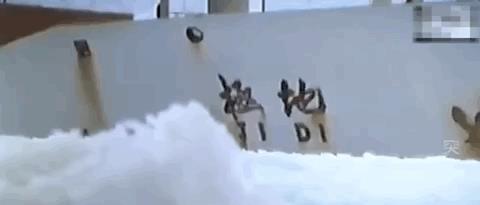 暗影演员介绍,暗影所有扮演者