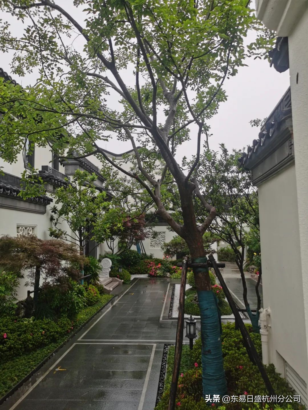 仲夏六月，美好将至|杭州东易日盛恭祝所有业主开工大吉！