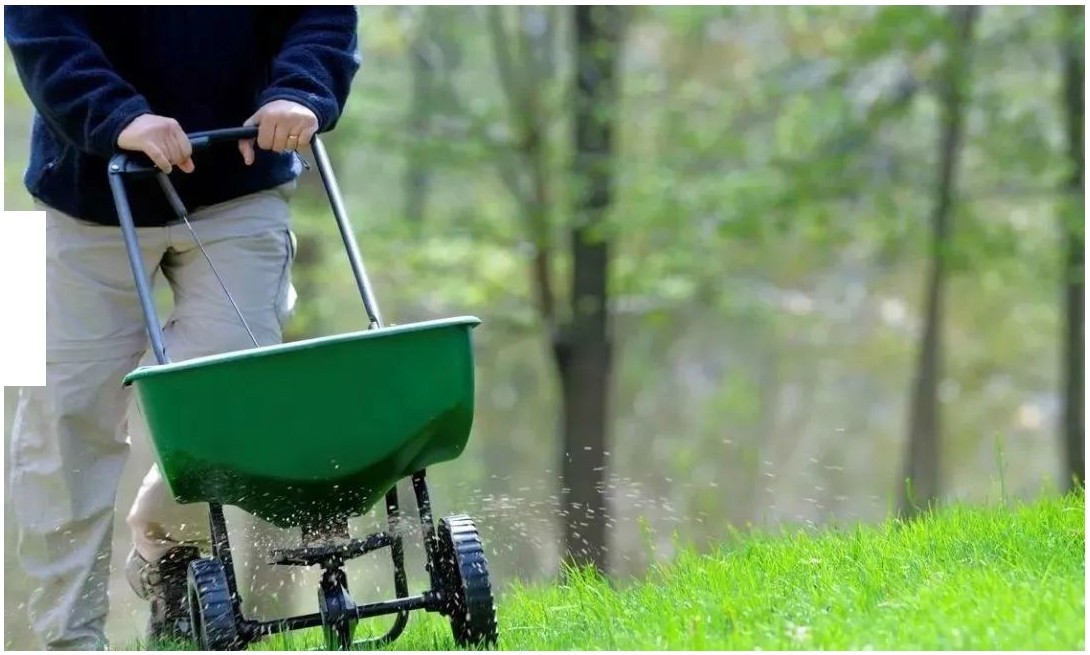 园林绿化草坪冬眠季养护管理要点及其注意事项