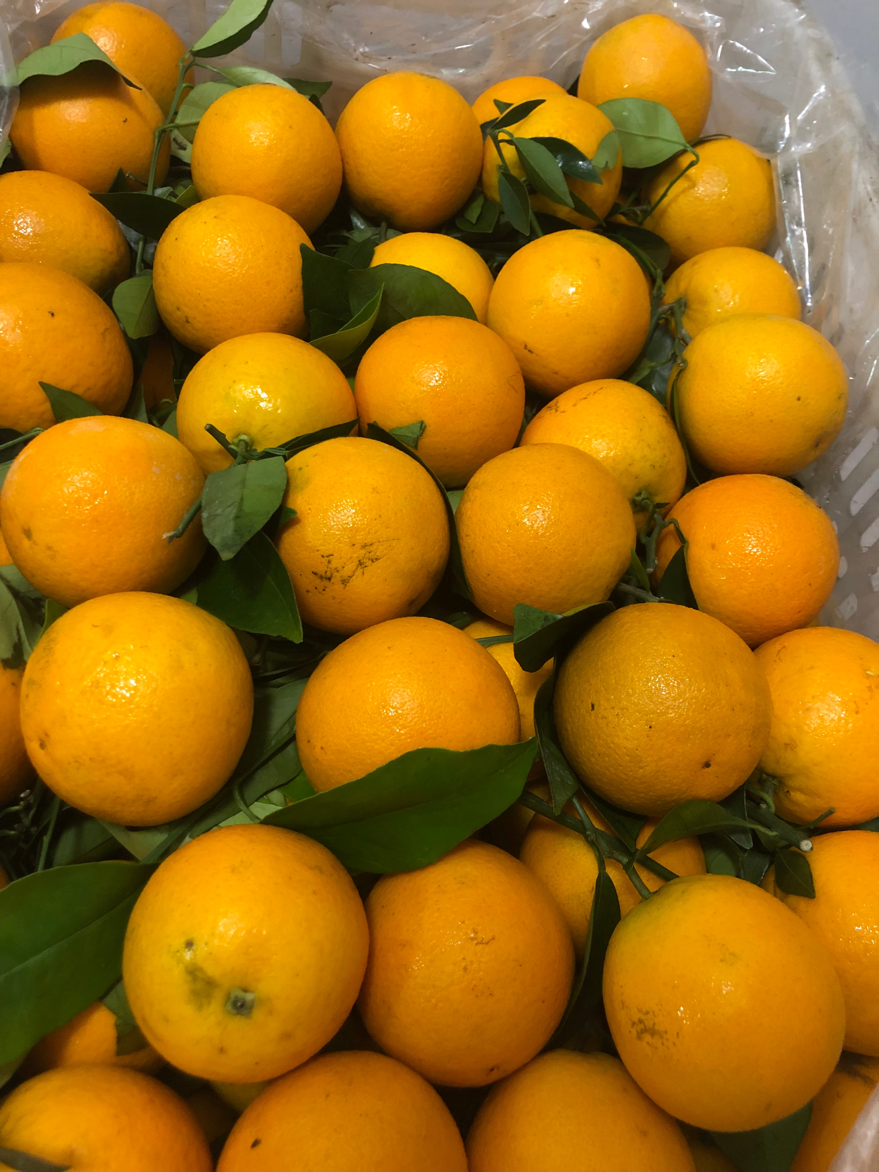 下班后三小时能做什么工作赚钱,下班后3-4小时适合做什么副业