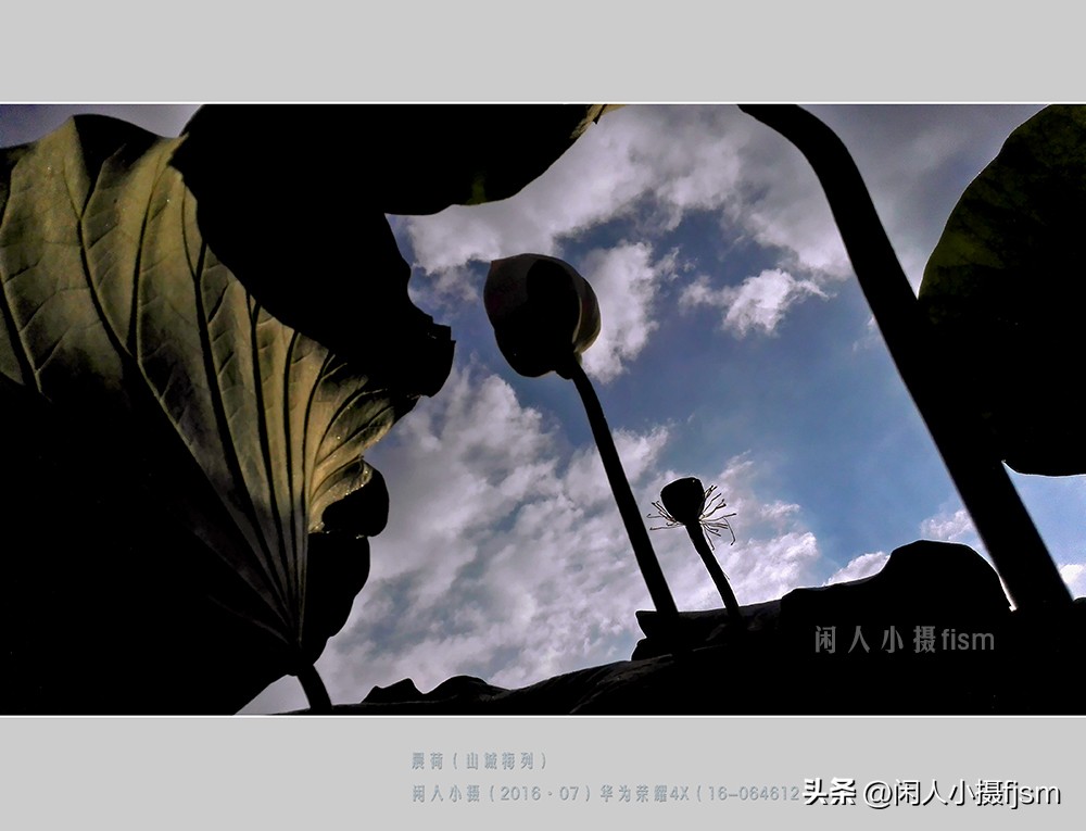 手机摄影构图技巧全解,玩转手机摄影一学就会的构图技巧