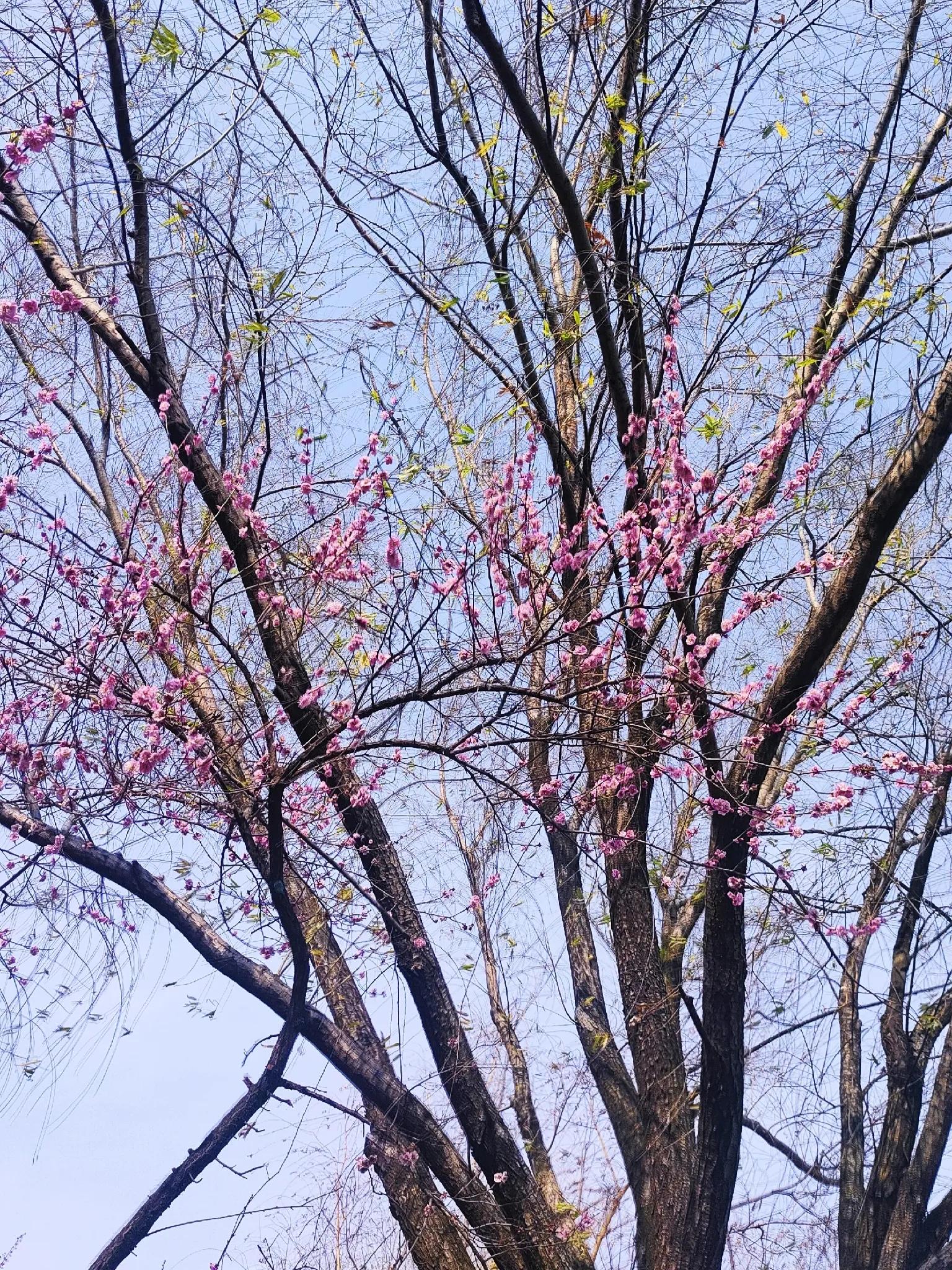 安康到合肥自驾沿途旅游景点,合肥哪些旅游景点春节期间免费
