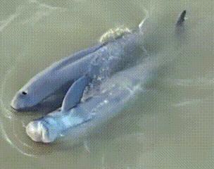 单身久了看什么都温柔,单身久了看啥都像爱情一样