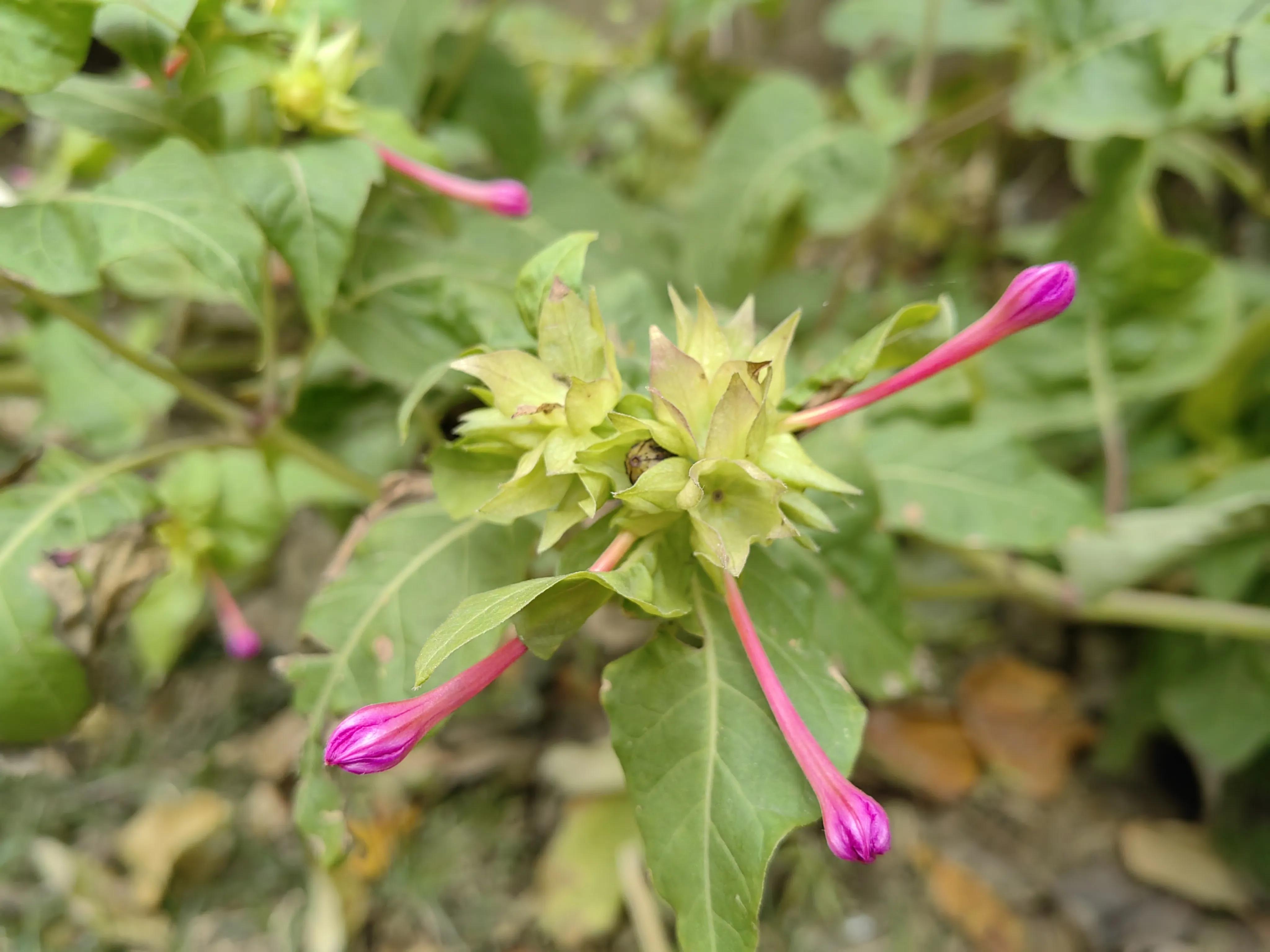封控期间，一个人一见到我，就说他快疯了。怎么办呢？