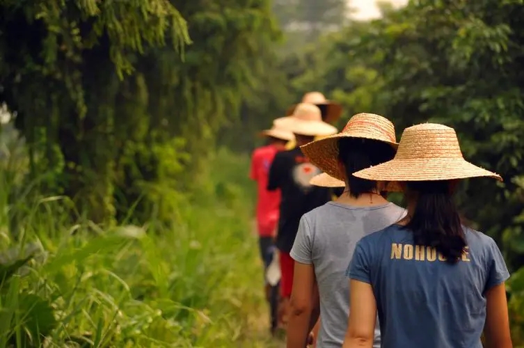 老百姓对断绝香火的冷漠,老百姓对断绝香火危机的冷漠