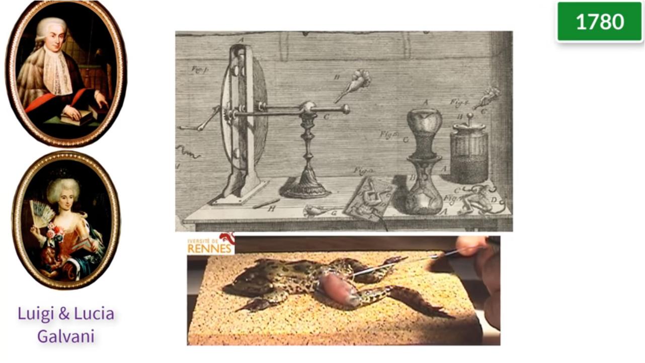 电灯泡的发明简介,电灯泡的百年发展史