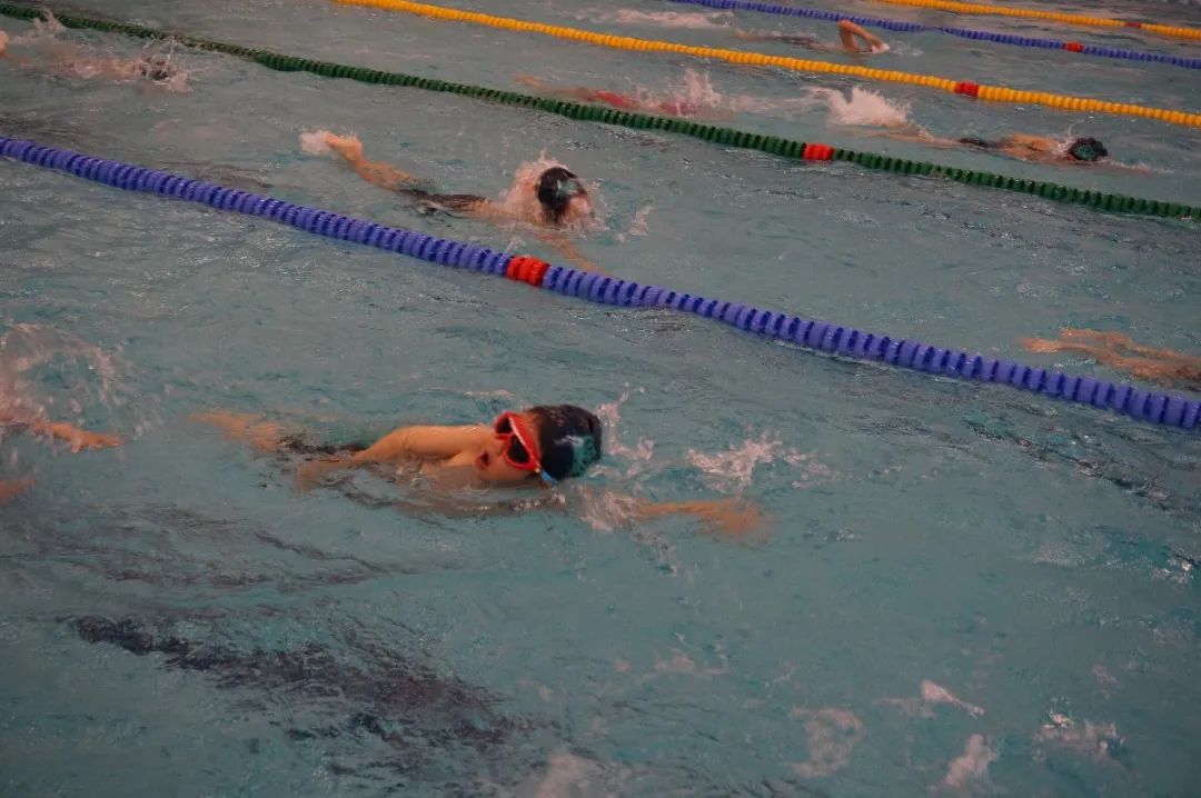 诺德安达国际学校北京高中,诺德安达双语学校上海排名