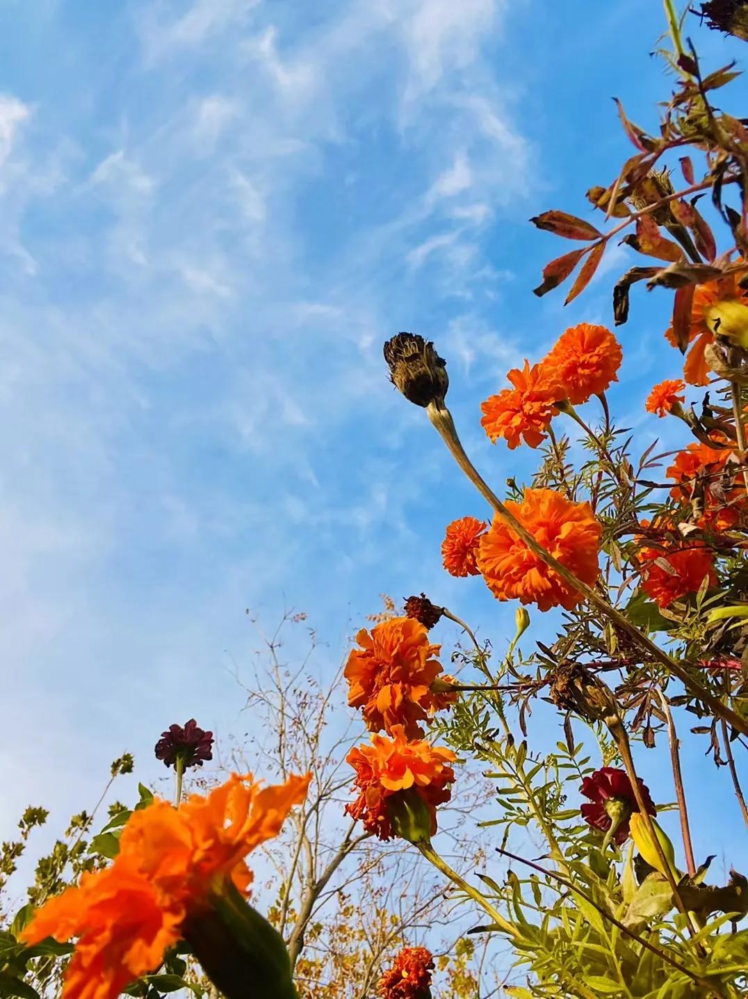 疫情下的天津地铁,疫情下的天津宝坻