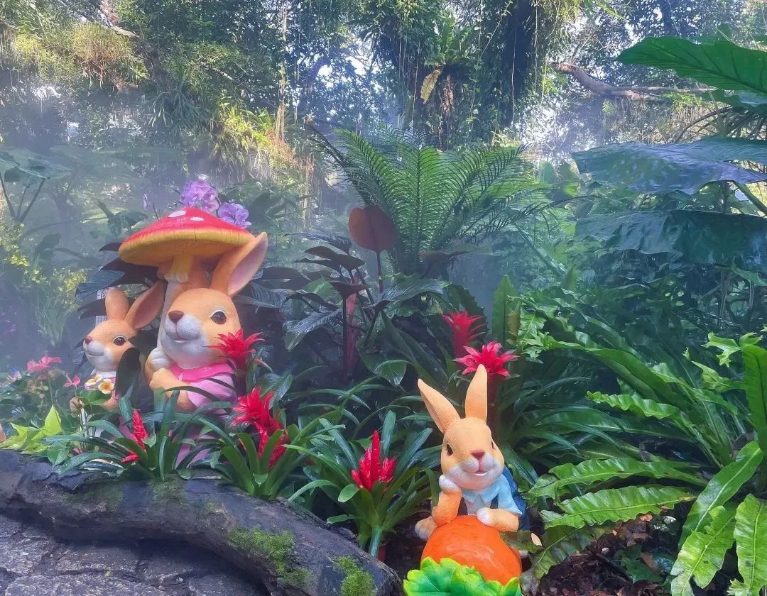 厦门十大最美花海,盘点厦门最美花海的地方