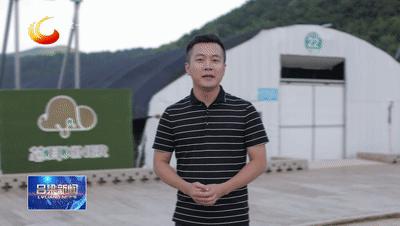 「稳经济促发展·县市区长访谈」中阳：下好政策“先手棋”激发经济新动能