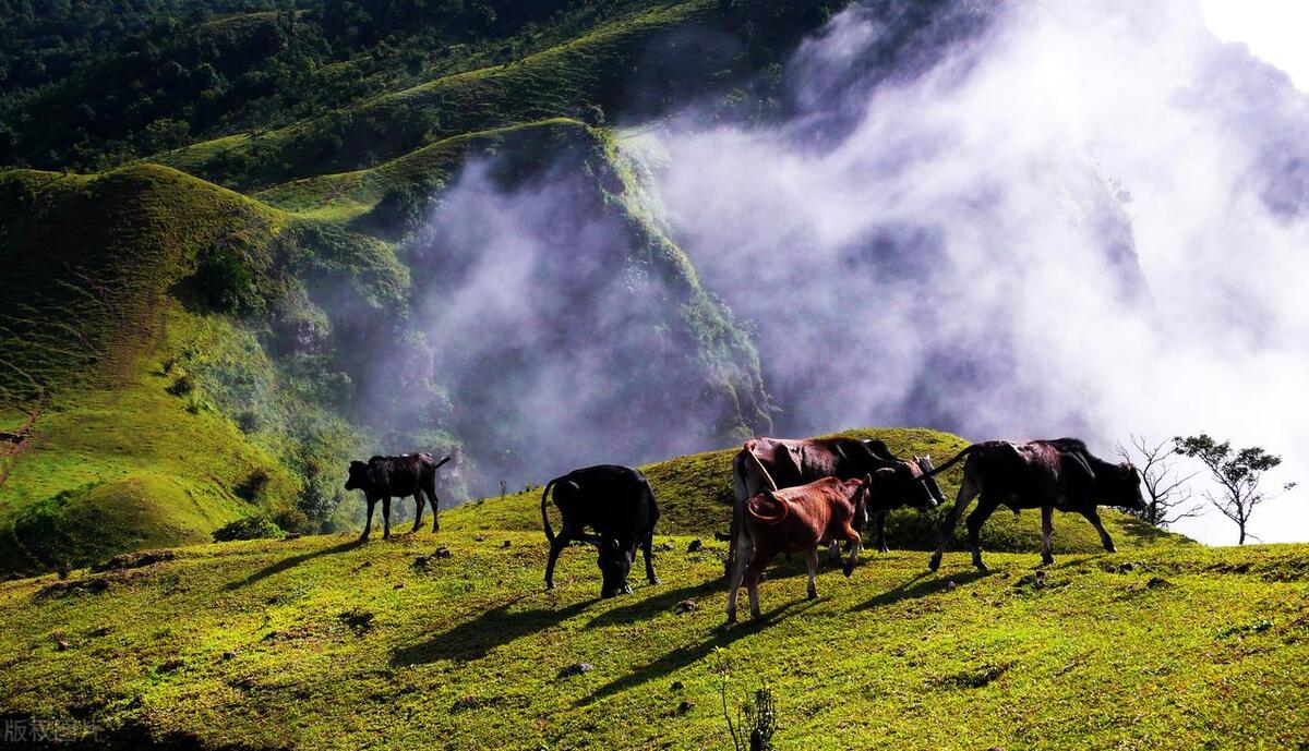 云浮出发湖南湘西详细攻略3天,云浮出发湖南旅游详细攻略3天