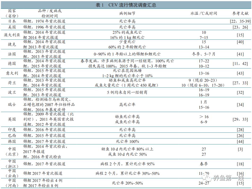 鲤浮肿病毒,CEV：鲤浮肿病研究进展与治疗鲤传染性水肿病的探讨