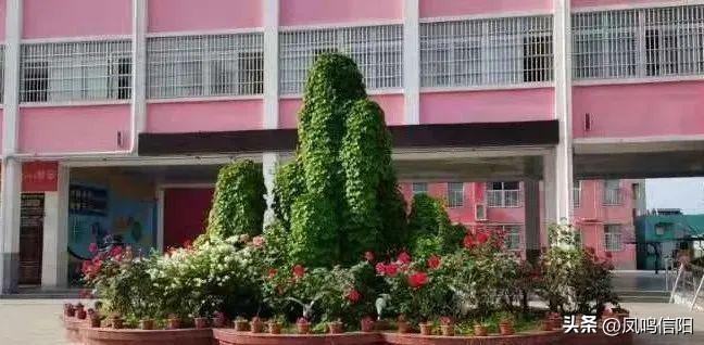 信阳市五中开学最新通知,羊山新区第五小学11月29号开学吗