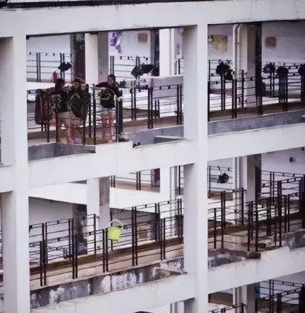 外卖小票醒目,外卖小票都会显示什么信息