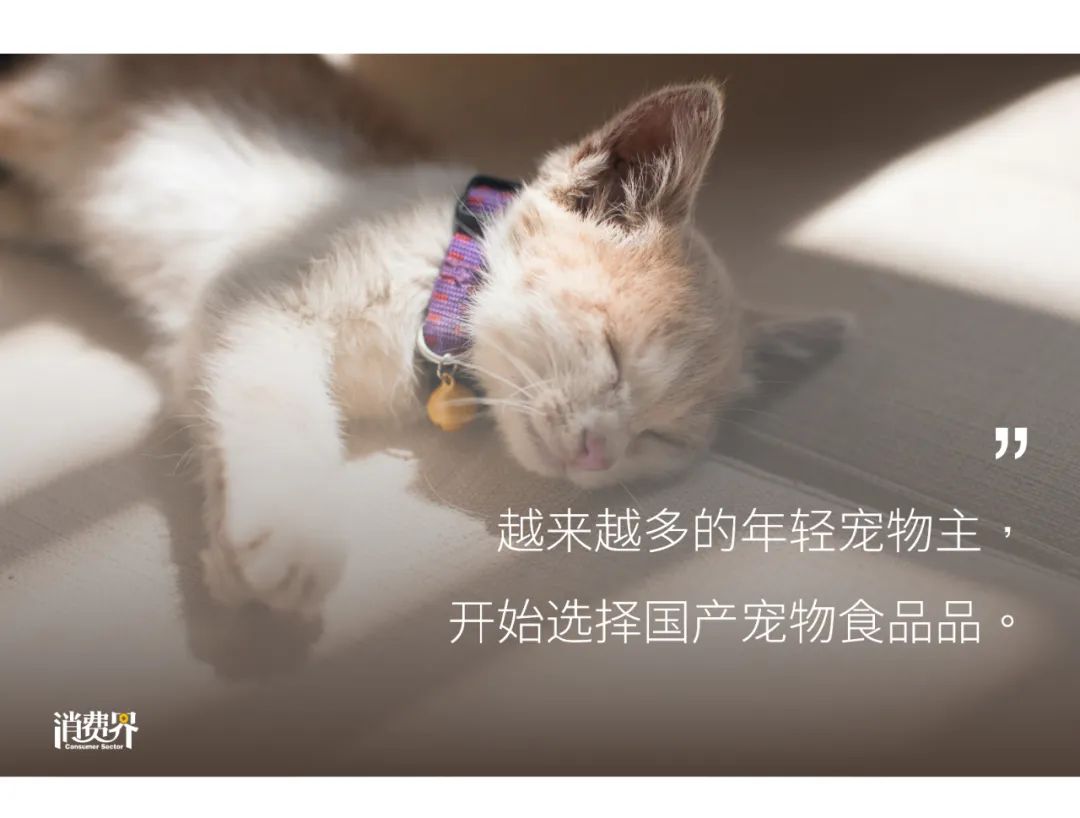 如何挑选合适宠物的宠粮品牌,宠物粮如何挑选健康营养的宠物粮