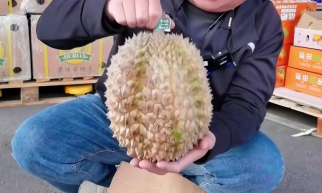 空运菲律宾榴莲价格,菲律宾榴莲从哪里运到中国