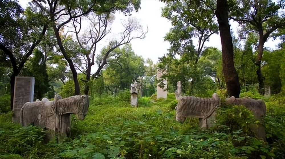 山东孔林存在2400年,周围不见乌鸦蛇鼠,只因林中有这两样东西