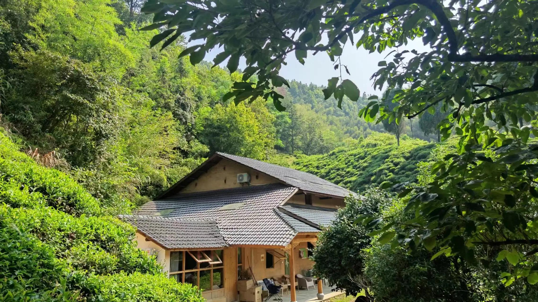 高考状元休宁,休宁十九位状元的名字