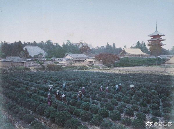 30张五六十年代老照片,30张老照片告诉你