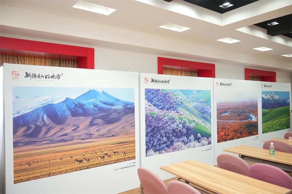 中国摄影协新项目,中国摄协最新公示