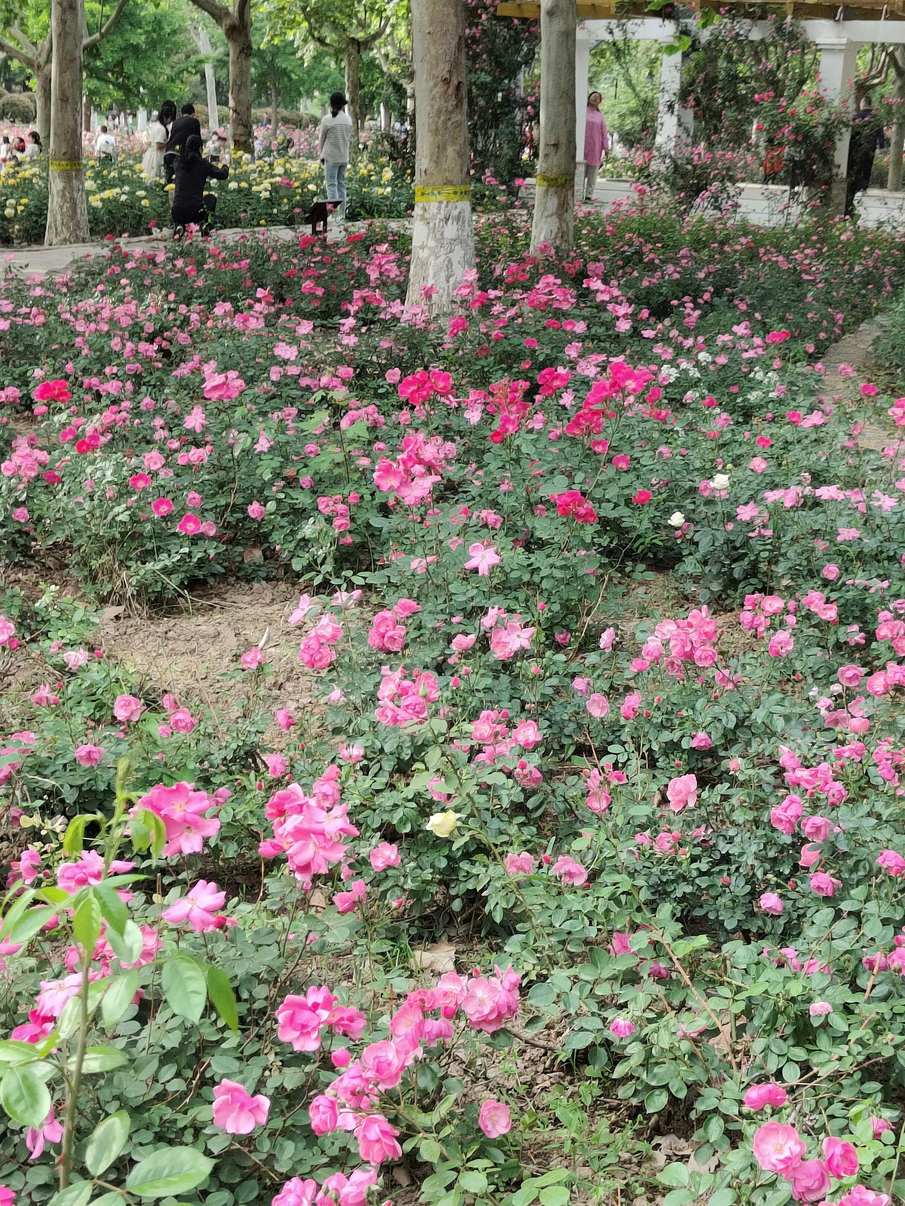 京沪中产如何保持阶层？孩子高中入学家长就被拉进校内相亲群！