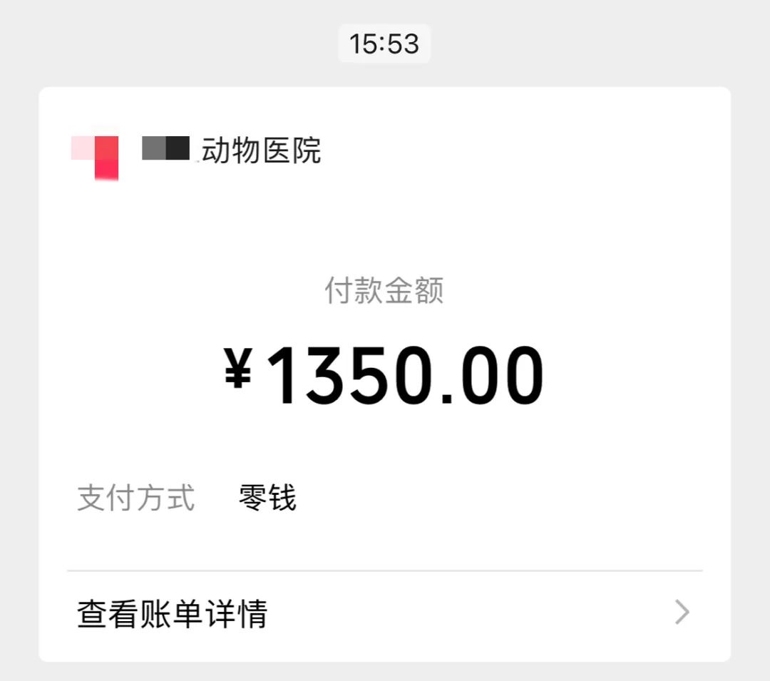 哪个宠物险好,宠物险哪些可以理赔