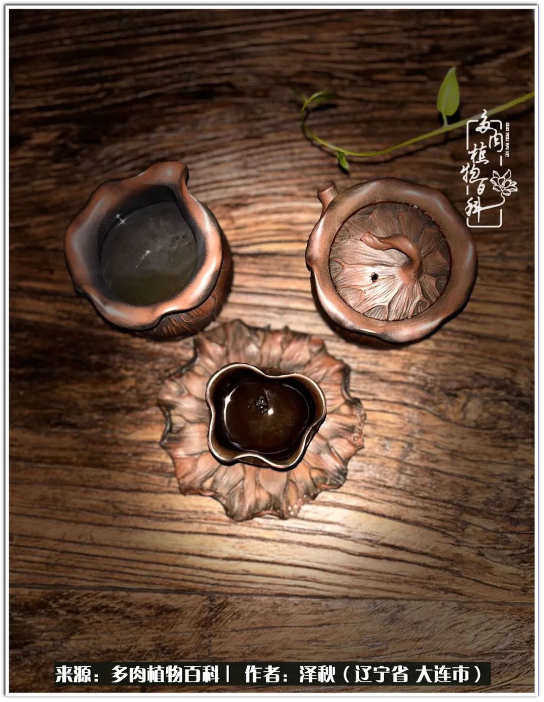 四季轮回之秋天,四季轮回之冬季