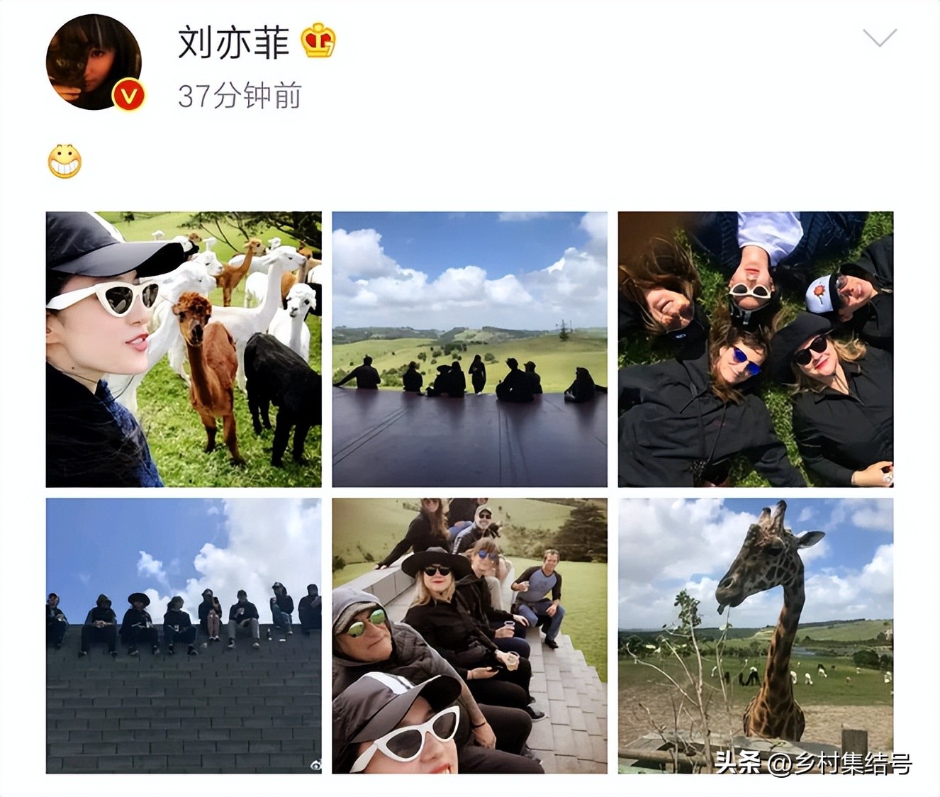 新西兰吉布斯农场——当农业与艺术开始跨界合作，会出现?