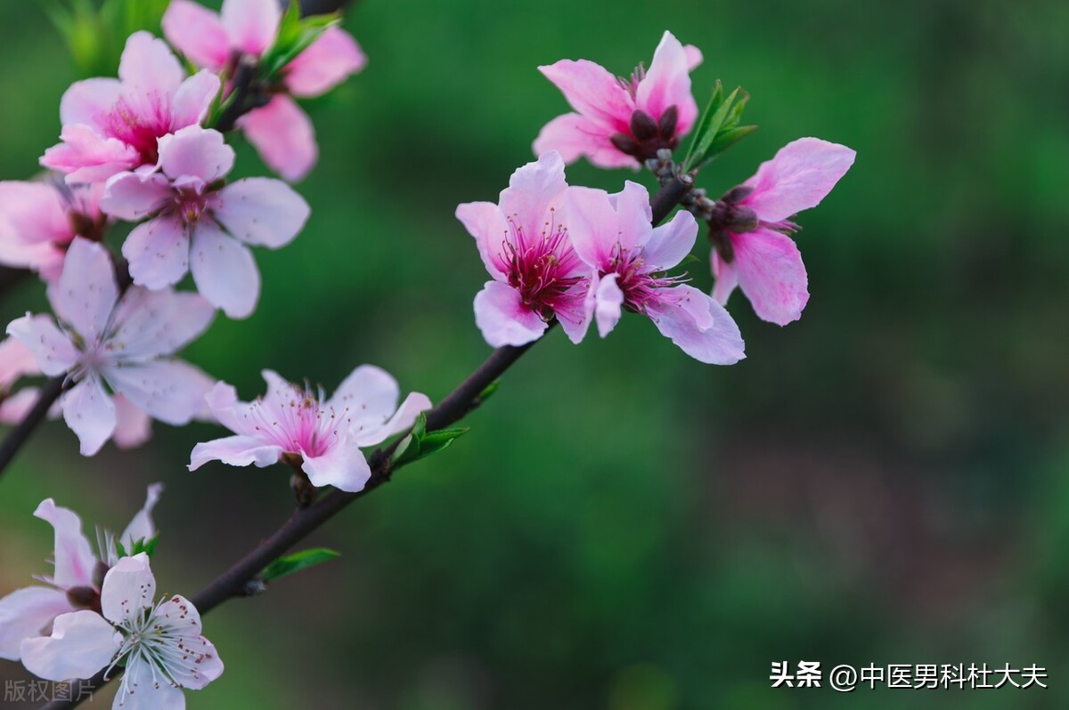 年少伤了肾精,年少伤精