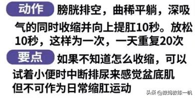 0基础产褥操！10个黄金动作帮助产后恢复