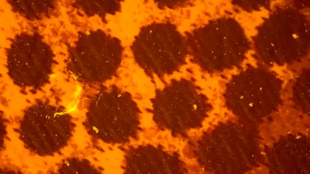 我们每天吃的东西里都有塑料,我们每天都在吃塑料吗